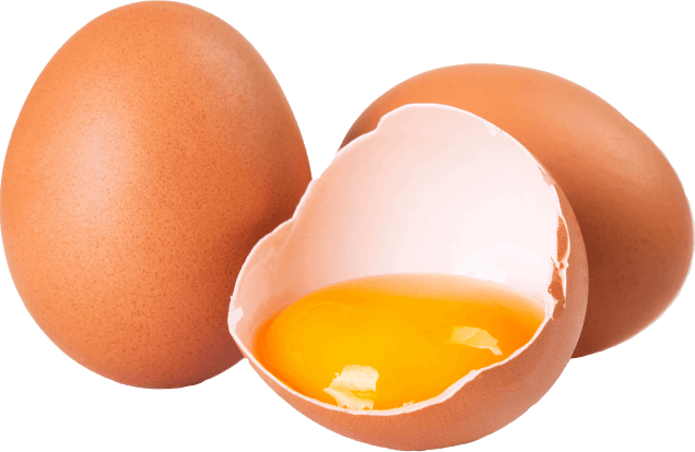 Synadentix Ingredient9